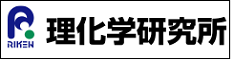 理化学研究所