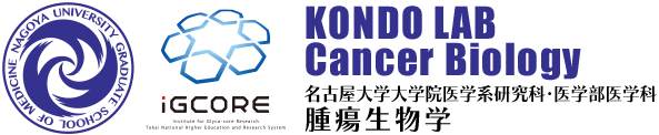 名古屋大学大学院医学系研究科・医学部医学科 腫瘍生物学 KONDO LAB Cancer Biologyウェブサイト Division of Cancer Biology Nagoya University Graduate School of Medicine