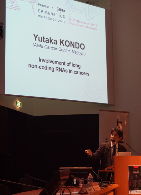 France-Japan Epigenetics Workshop 2017
