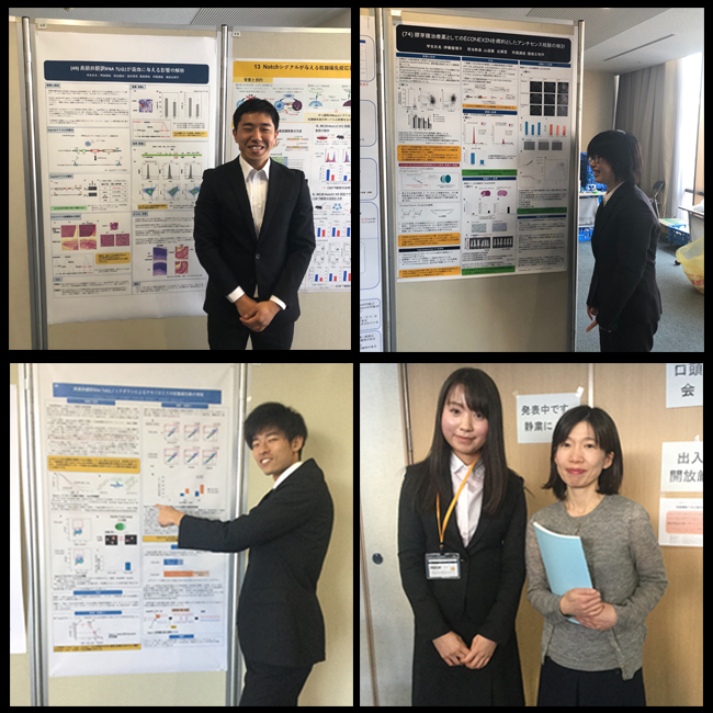 2019年３年生基礎配属の研究発表会