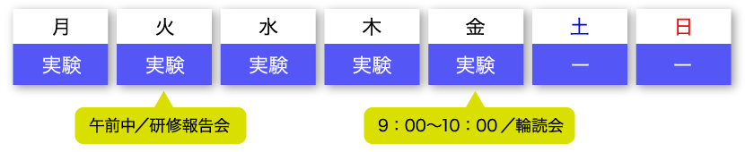 一週間の流れ