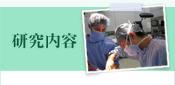 研究内容