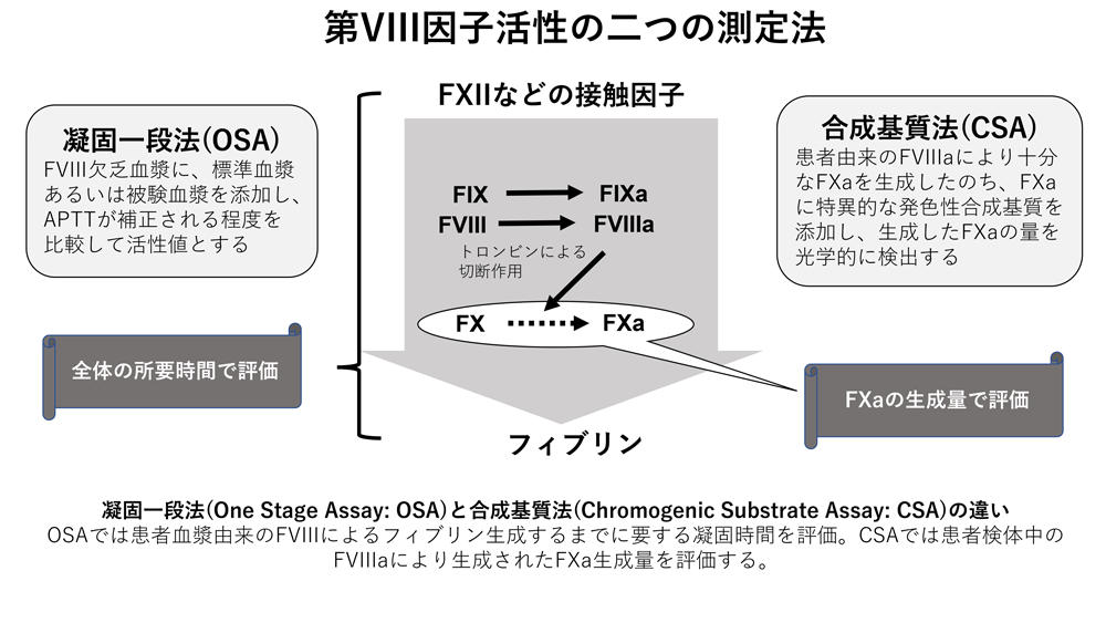 第VIII因子活性の二つの測定法