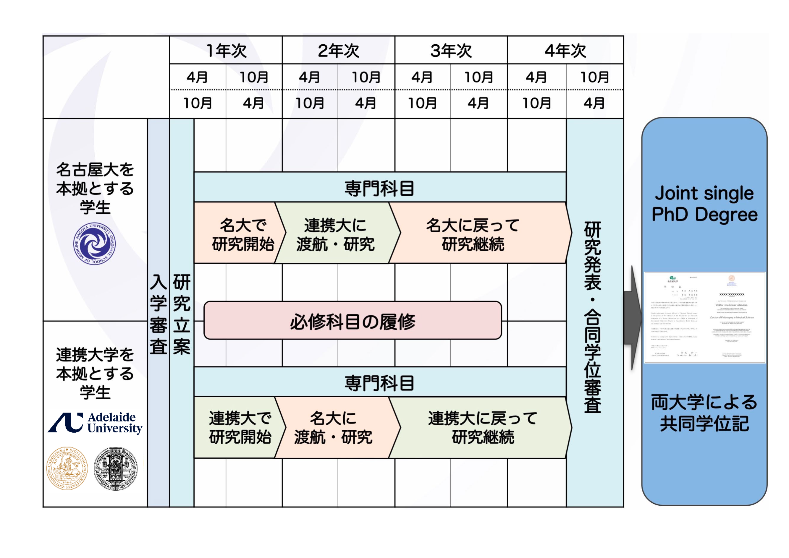 履修イメージ図