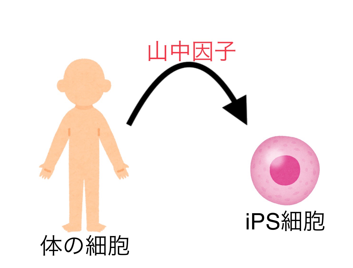 作製方法