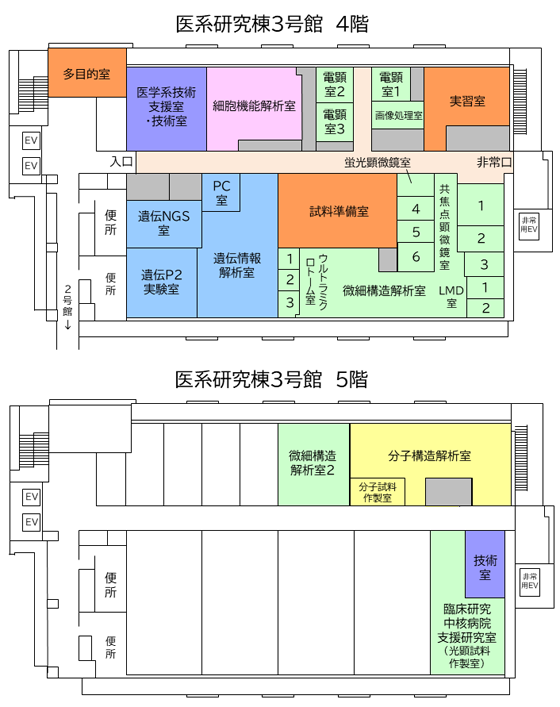 医系研究棟３号館　平面図