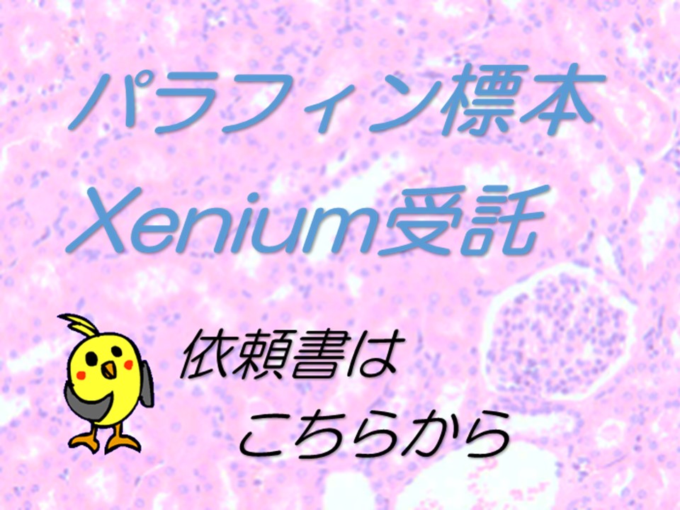 光顕試料作製室_受託依頼書
