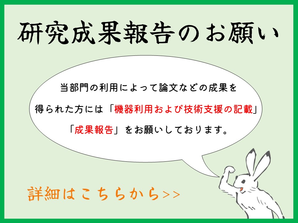 成果報告
