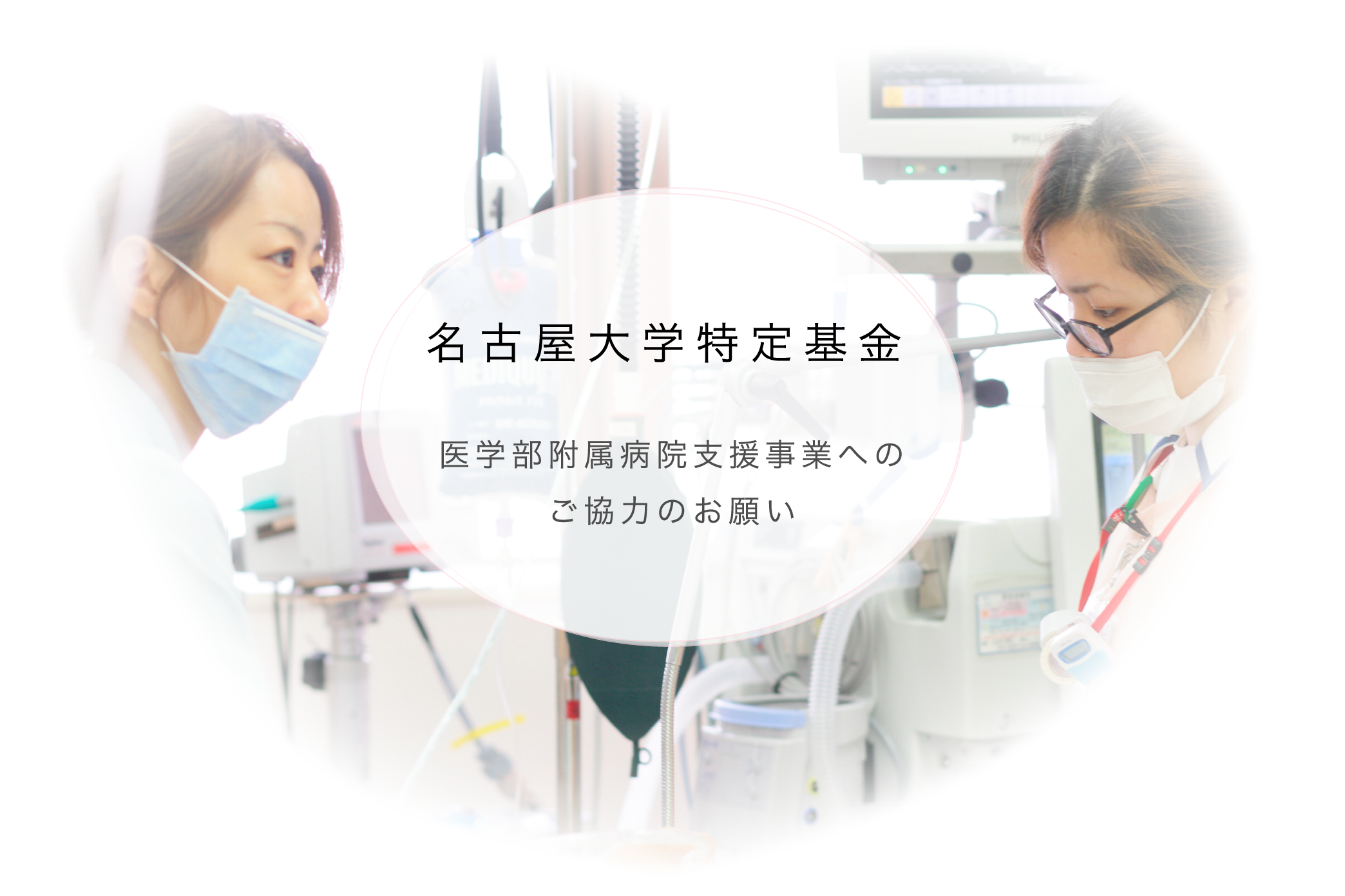 名古屋大学特定基金