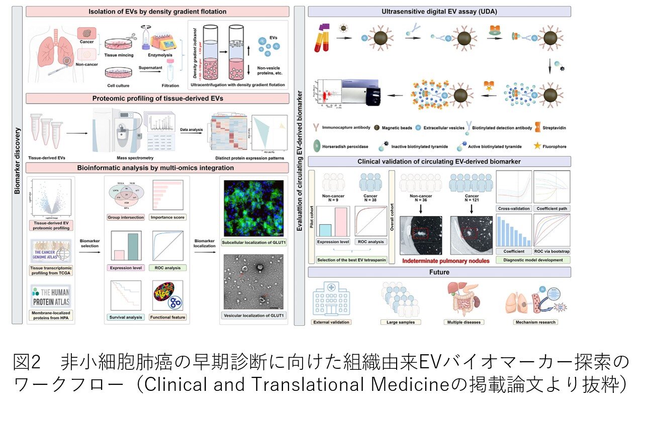 加藤先生研究2.jpg