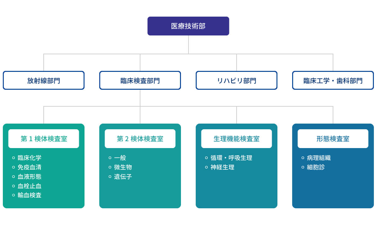 組織図