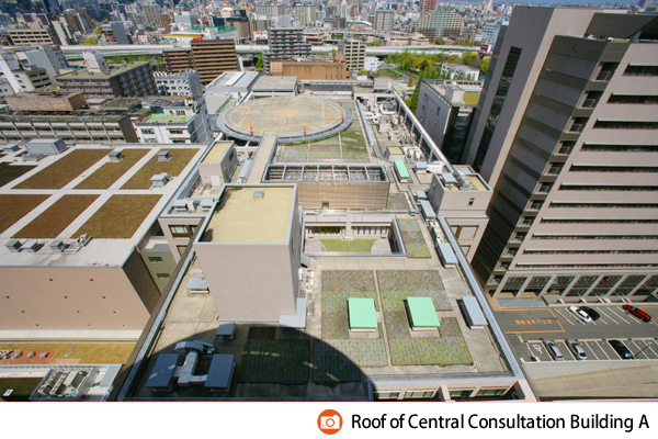 Central Consultation Building A