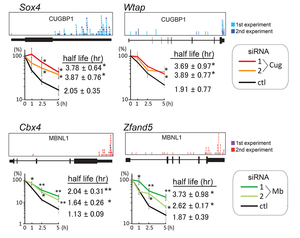 Fig32_MBNL1_CUGBP1_3UTR.jpg