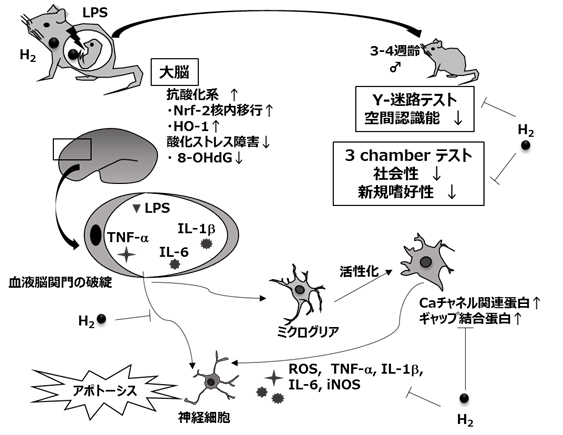 obgy_e06.jpg