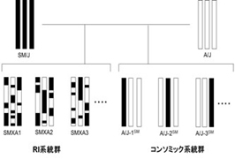 animal-science_e02.jpg