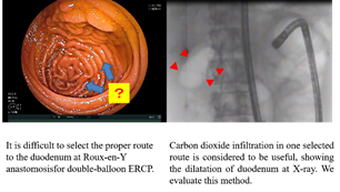 gastroenterology_project02.jpg