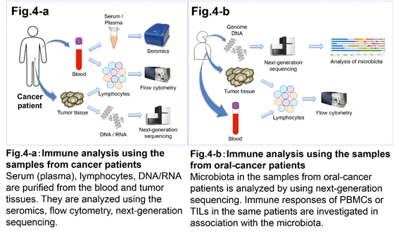 immunology_en_project04.jpg