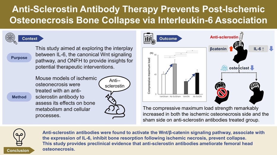 Anti-Sclerostin Antibody Therapy Prevents Post-Ischemic Osteonecrosis Bone Collapse via Interleukin-6 Association