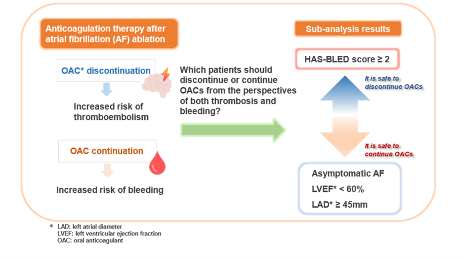 Discontinuation of Oral Anticoagulation After Successful Atrial Fibrillation Ablation: Optimizing Anticoagulant Therapy Based on Individual Patient Characteristics