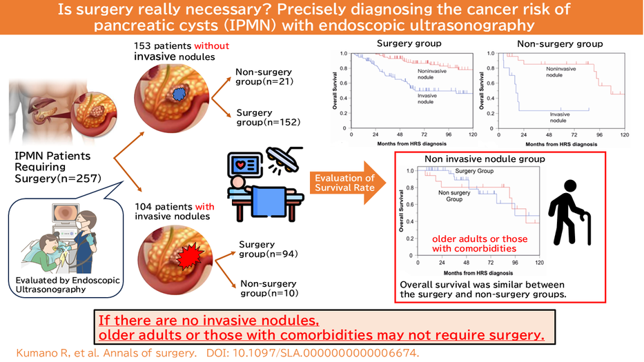 Is surgery really necessary? Precisely diagnosing the cancer risk of pancreatic cysts (IPMN) with endoscopic ultrasonography