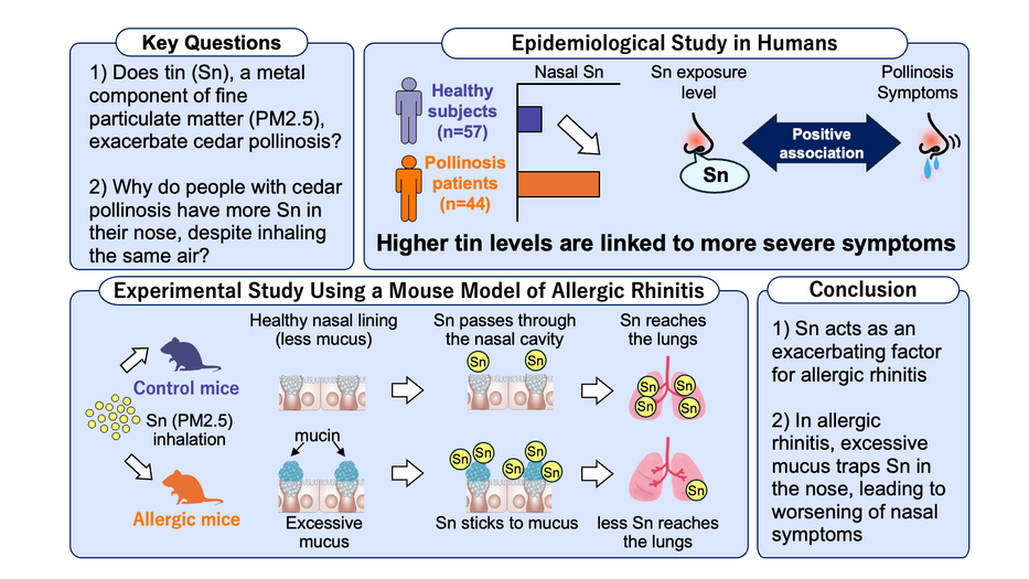 Tin in PM2.5 May Worsen Cedar Pollinosis: A New Association Between Environmental Pollution and Allergies