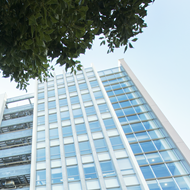 Department of Medicine