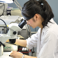 大学院修士課程