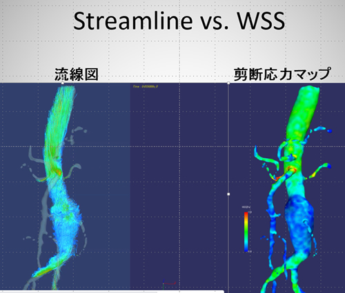 Nonami Takizawa Big Tits - Radiology/Interventional & Therapeutic Radiology/Radiation Oncology -  High-Technology Application of Medicine - Laboratories | Nagoya University  GraduateSchool of Medicine