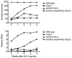 Fig04_Protein_Anchoring_of_Mutant_ColQ.jpg