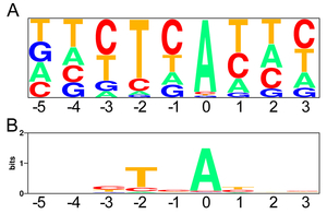 Fig20 Pictogram_and_WebLogo.jpg