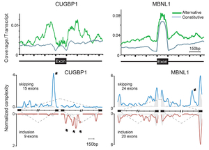 Fig31 MBNL1_CUGBP1_splicing.jpg