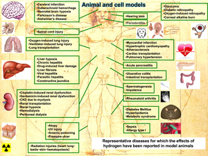 Fig52_Hydrogen_animals.jpg