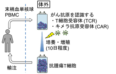 細胞腫瘍学講座_01.jpg