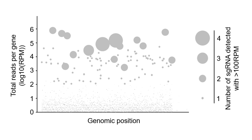 Total reads per gene.png