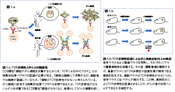 immunology01.jpg