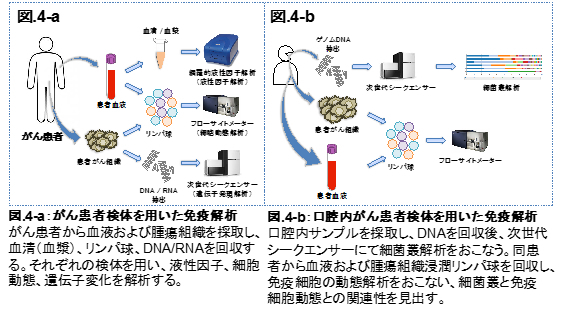 分子細胞免疫学(免疫学) - 微生物・免疫学 - 研究室紹介 | 名古屋大学 