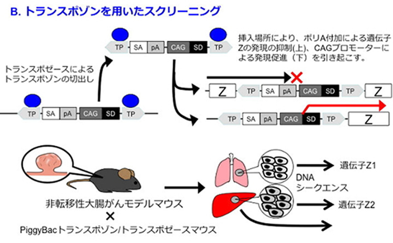 cp-project3.jpg