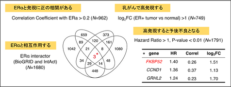 図1.png.webp