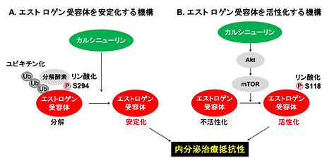 図3.png.webp