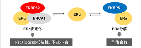 図3.png.webp