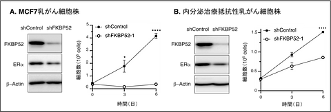 図2.png.webp