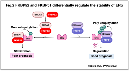 Fig.2