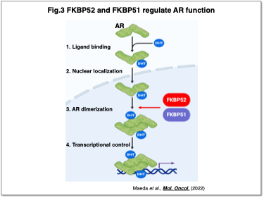 Fig.3