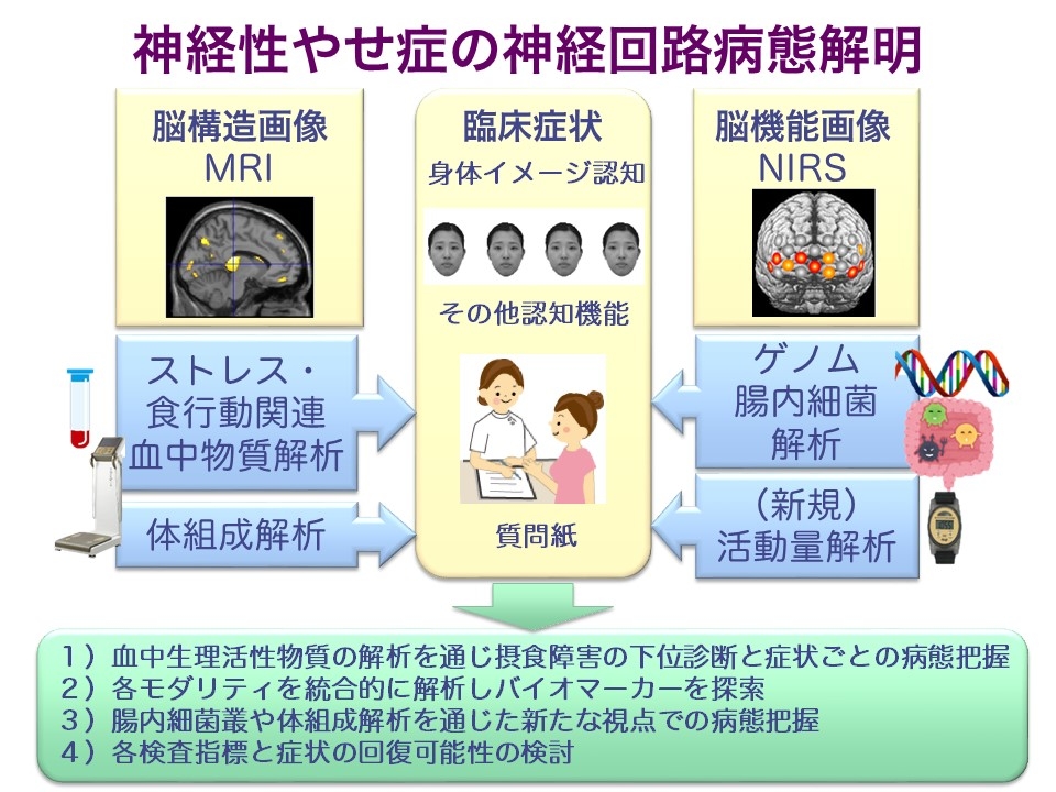 摂食障害研究.jpg