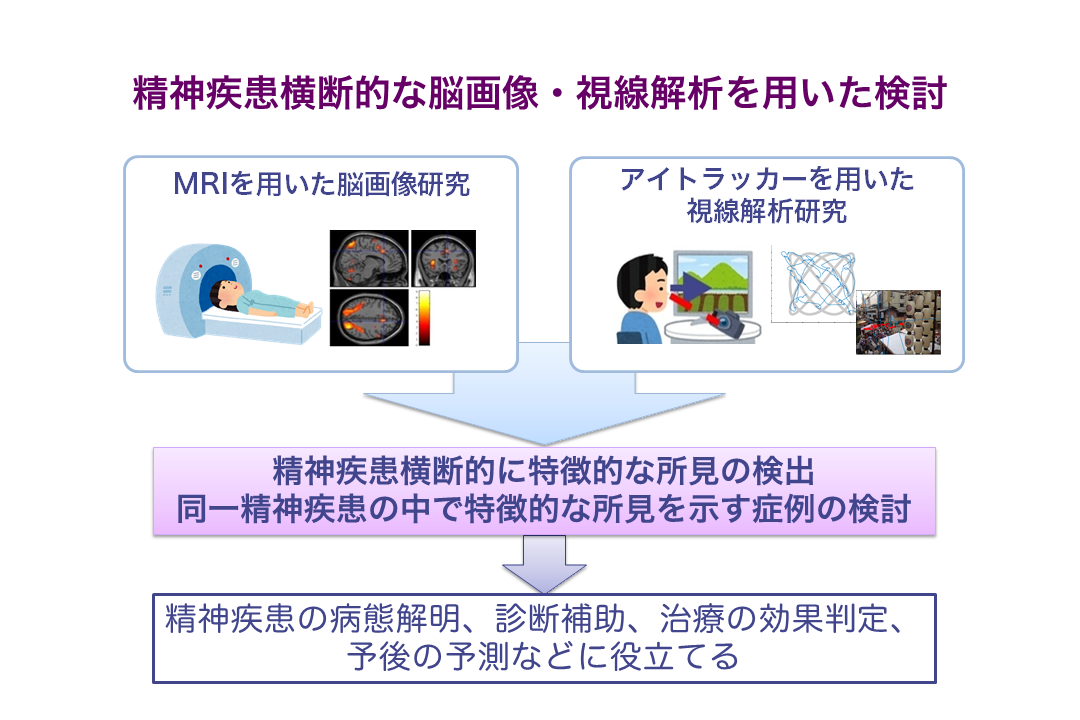 脳画像・視線解析研究.png