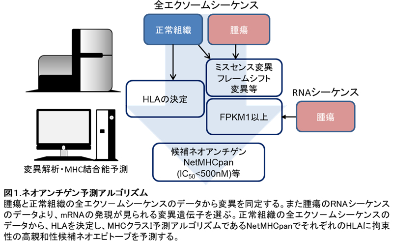 ci-project1.jpg