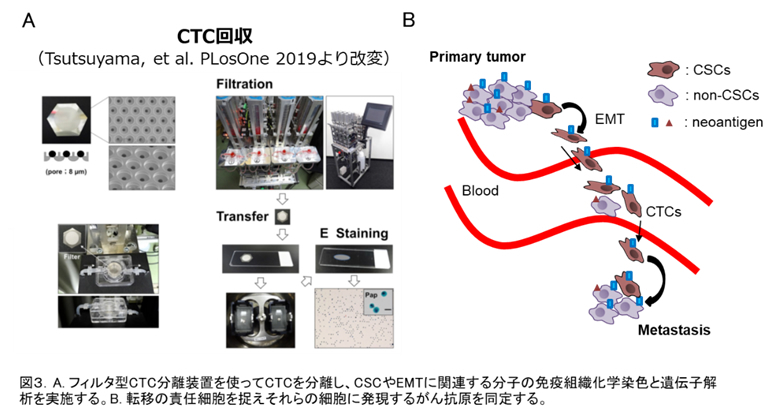 ci-project3.jpg