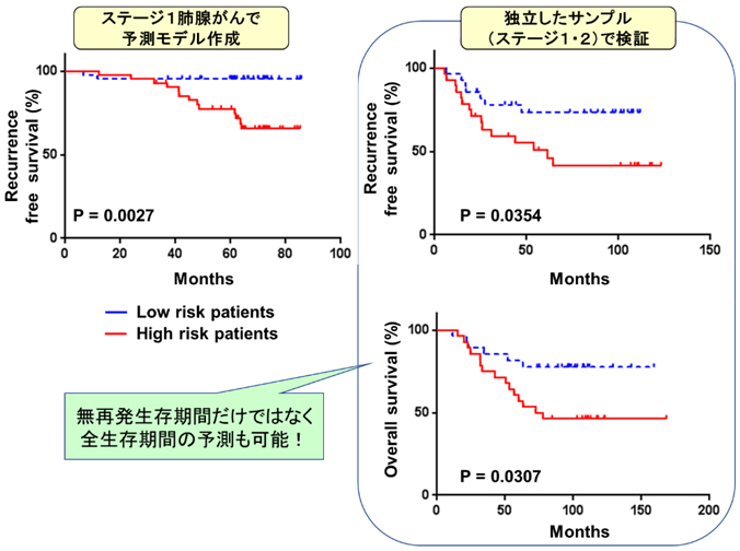 図３：血中マイクロRNAプロファイルに基づく肺腺がん再発予測モデル
