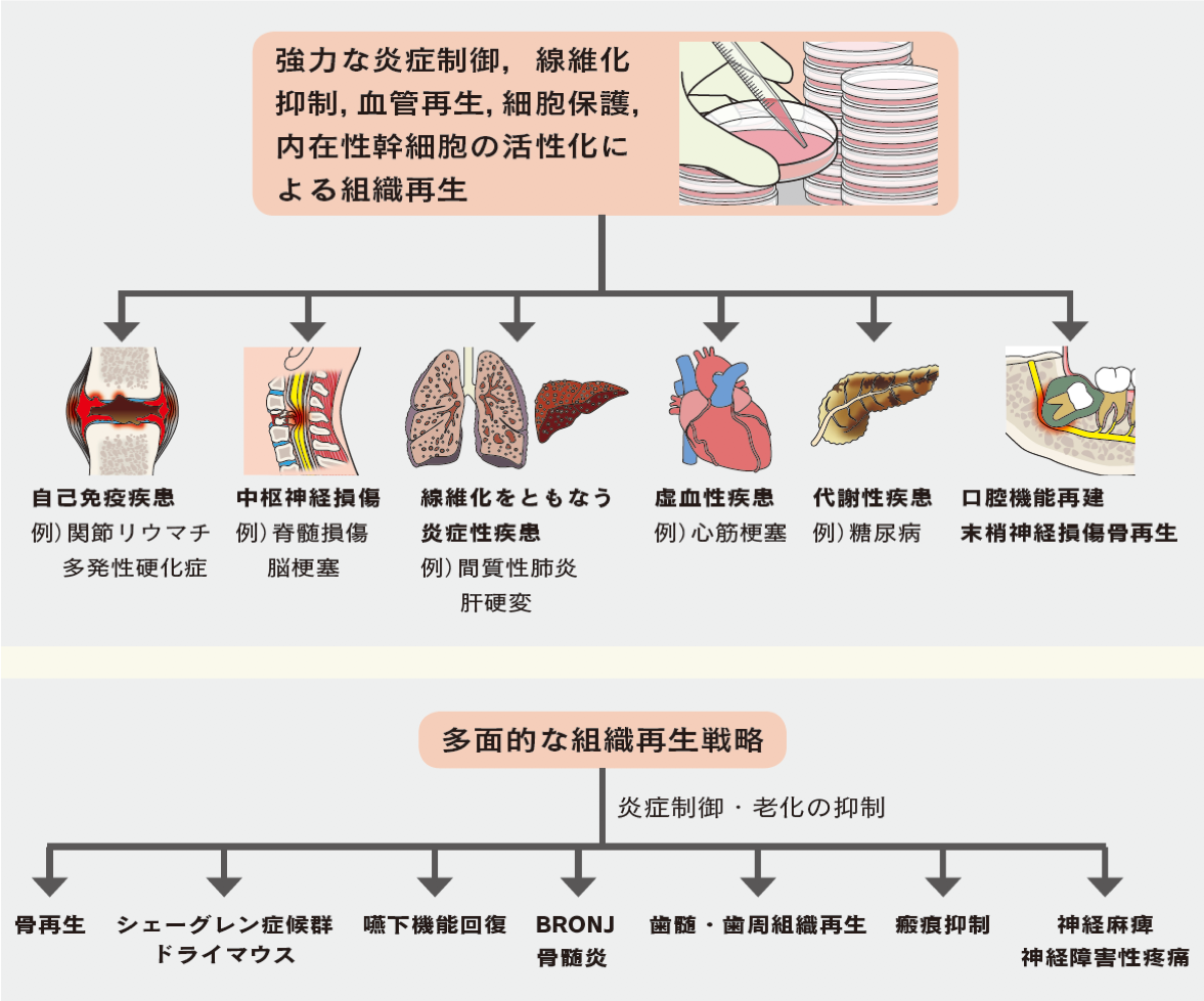 maxillofacial-surgery_oral_surgery_figure.png