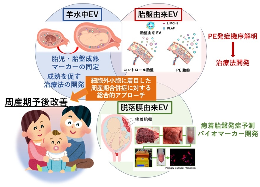 obstetrics-gynecology_project09.jpg